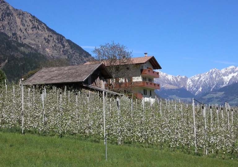 ... Winterurlaub auf unserem Hof